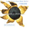 Single Black Garlic